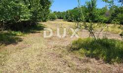 Zemljiste, Brtonigla, prodaja, 155000 €, 9862 m2