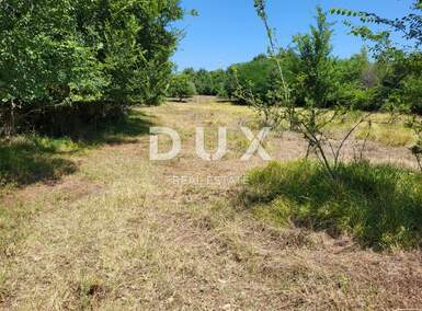 Zemljiste, Brtonigla, prodaja, 155000 €, 9862 m2