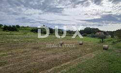 Zemljiste, Pićan, prodaja, 153000 €, 2941 m2