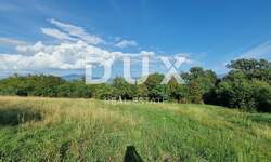 Zemljiste, Pićan, prodaja, 135000 €, 4950 m2