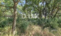 Zemljiste, Fažana, Valbandon, prodaja, 215200 €, 1345 m2