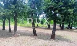 Zemljiste, Marčana, Divšići, prodaja, 46000 €, 5078 m2