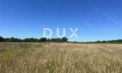 Zemljiste, Poreč, Baderna, prodaja, 167200 €, 53691 m2