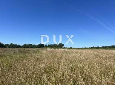 Zemljiste, Poreč, Baderna, prodaja, 167200 €, 53691 m2