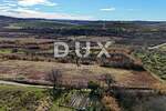 Zemljiste, Buje, prodaja, 280000 €, 1032 m2