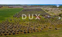 Zemljiste, Novigrad, prodaja, 300000 €, 14349 m2