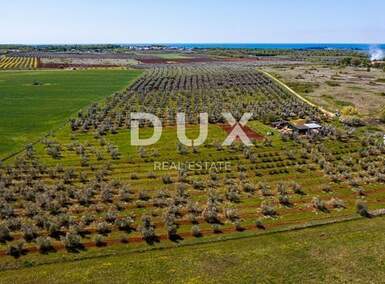 Zemljiste, Novigrad, prodaja, 300000 €, 14349 m2