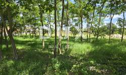 Zemljiste, Kanfanar, prodaja, 77500 €, 1600 m2