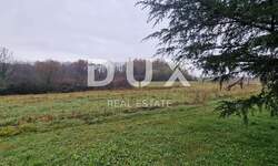 Zemljiste, Pazin, Heki, prodaja, 41500 €, 10000 m2