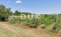 Zemljiste, Bale, prodaja, 180000 €, 7595 m2