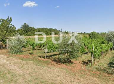 Zemljiste, Bale, prodaja, 180000 €, 7595 m2