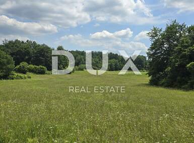 Zemljiste, Pićan, prodaja, 23000 €, 5938 m2