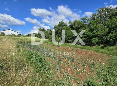 Zemljiste, Tinjan, prodaja, 96000 €, 1598 m2