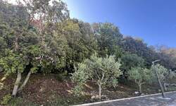 Zemljiste, Pula, Centar, prodaja, 220000 €, 2651 m2