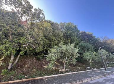 Zemljiste, Pula, Centar, prodaja, 220000 €, 2651 m2