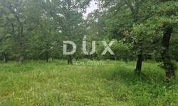 Zemljiste, Sveti Lovreč, prodaja, 100000 €, 9646 m2