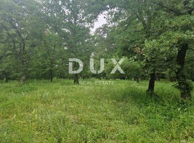 Zemljiste, Sveti Lovreč, prodaja, 100000 €, 9646 m2