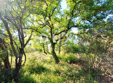 Zemljiste, Vodnjan, Peroj, prodaja, 125440 €, 1792 m2