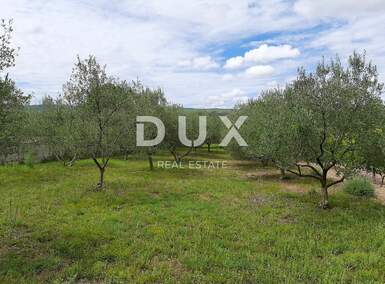 Zemljiste, Novigrad, Pridraga, prodaja, 85000 €, 1080 m2