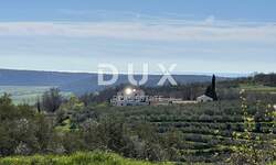 Zemljiste, Buje, prodaja, 260000 €, 1335 m2