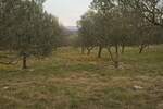 Zemljiste, Krk, Vrh, prodaja, 255000 €, 13127 m2