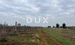 Zemljiste, Brtonigla, prodaja, 1300000 €, 55000 m2