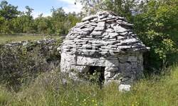 Zemljiste, Svetvinčenat, Režanci, prodaja, 77000 €, 24600 m2