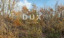 Zemljiste, Kanfanar, prodaja, 163000 €, 3133 m2