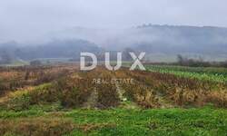 Zemljiste, Pićan, prodaja, 56000 €, 6724 m2