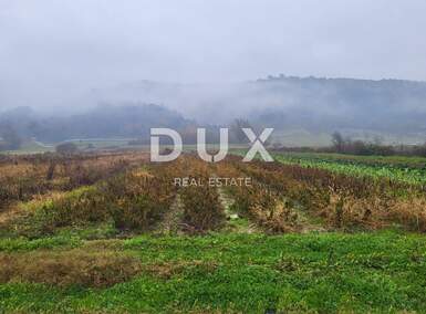 Zemljiste, Pićan, prodaja, 56000 €, 6724 m2