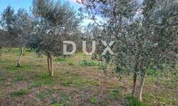 Zemljiste, Svetvinčenat, prodaja, 90000 €, 2449 m2