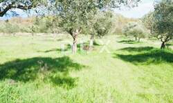 Zemljiste, Bale, prodaja, 240000 €, 16169 m2