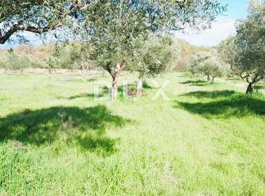 Zemljiste, Bale, prodaja, 240000 €, 16169 m2