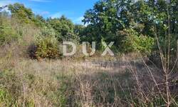 Zemljiste, Žminj, prodaja, 399000 €, 7975 m2