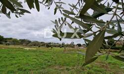 Zemljiste, Rovinj, prodaja, 235000 €, 2263 m2