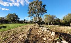 Zemljiste, Dobrinj, Šilo, prodaja, 28999 €, 435 m2