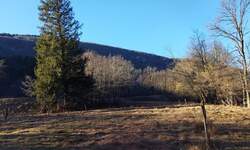 Zemljiste, Klana, prodaja, 53000 €, 9011 m2