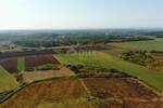 Zemljiste, Buje, prodaja, 1366000 €, 68267 m2