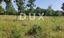 Zemljiste, Višnjan, Žikovići, prodaja, 560000 €, 5937 m2