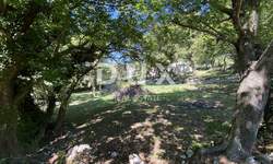 Zemljiste, Vinodol, Grižane-Belgrad, prodaja, 68000 €, 1000 m2