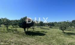 Zemljiste, Marčana, Rakalj, prodaja, 83000 €, 1050 m2