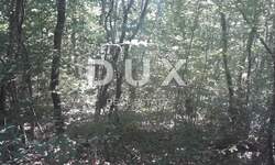 Zemljiste, Svetvinčenat, prodaja, 10000 €, 4754 m2