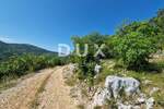 Zemljiste, Buzet, prodaja, 250000 €, 23970 m2