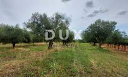 Zemljiste, Brtonigla, prodaja, 70000 €, 3418 m2