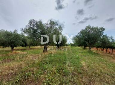 Zemljiste, Brtonigla, prodaja, 70000 €, 3418 m2