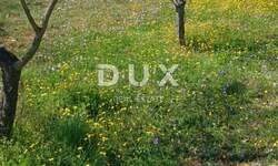 Zemljiste, Marčana, Divšići, prodaja, 115000 €, 1970 m2