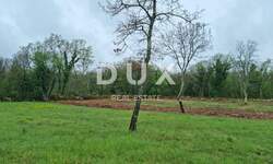 Zemljiste, Tinjan, Muntrilj, prodaja, 59000 €, 6161 m2