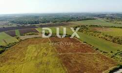 Zemljiste, Buje, prodaja, 163000 €, 14255 m2