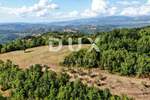 Zemljiste, Cerovlje, Draguć, prodaja, 120000 €, 40777 m2
