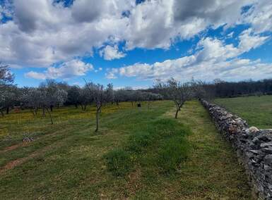 Zemljiste, Marčana, Cokuni, prodaja, 260000 €, 3352 m2